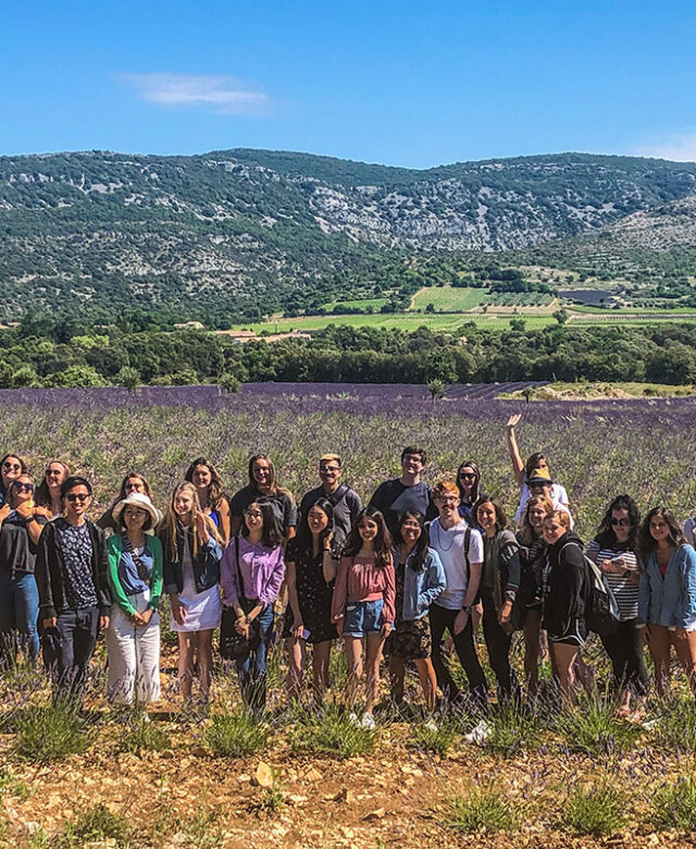 Groupe d'étudiants dans les champs de lavande de Provence